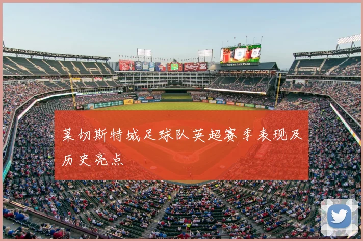 莱切斯特城足球队英超赛季表现及历史亮点