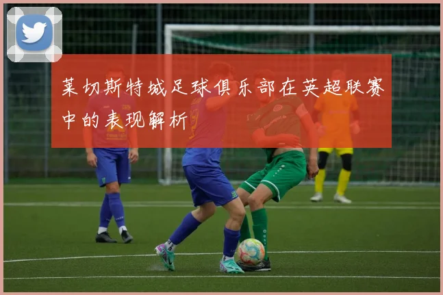 莱切斯特城足球俱乐部在英超联赛中的表现解析