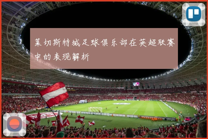 莱切斯特城足球俱乐部在英超联赛中的表现解析